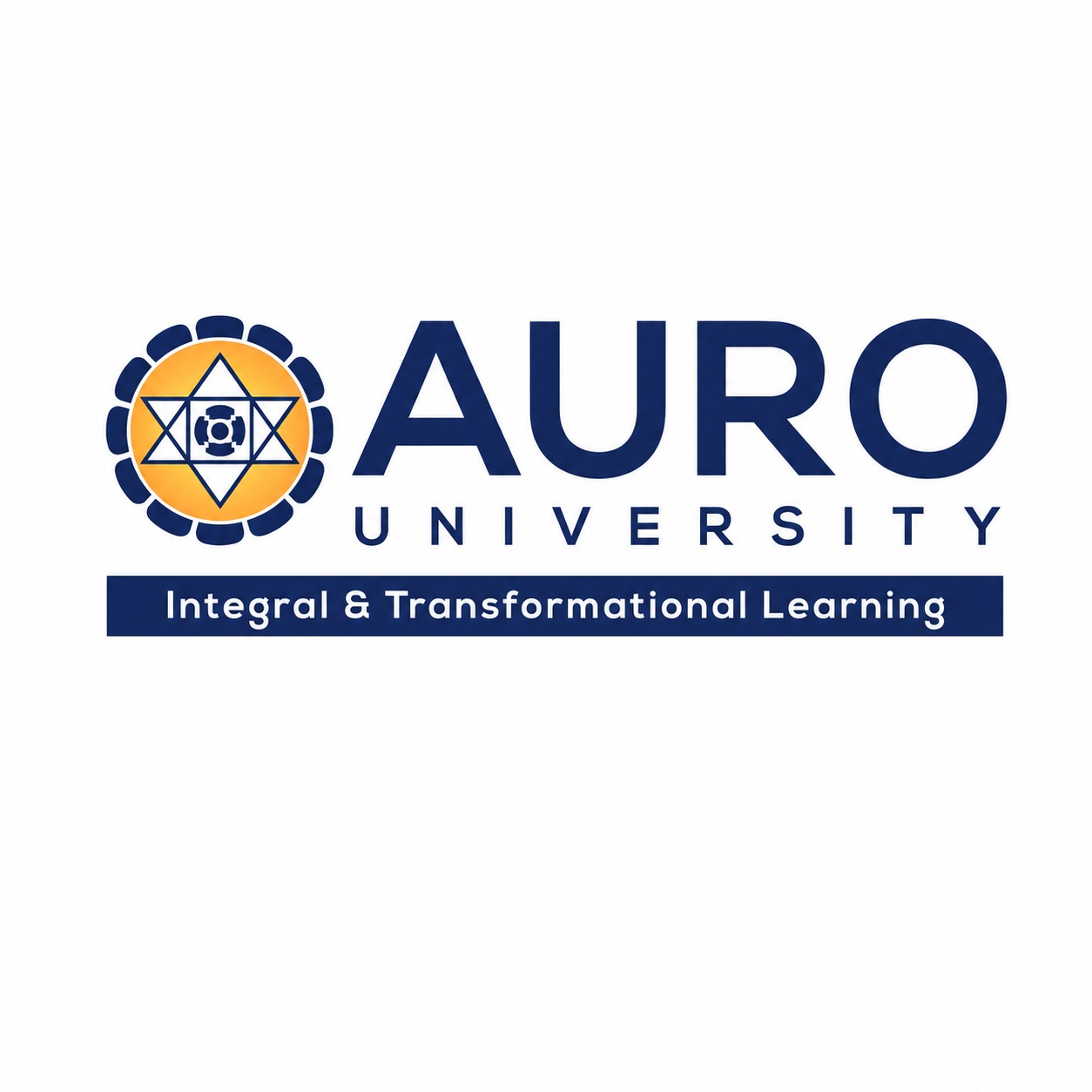 Auro University
